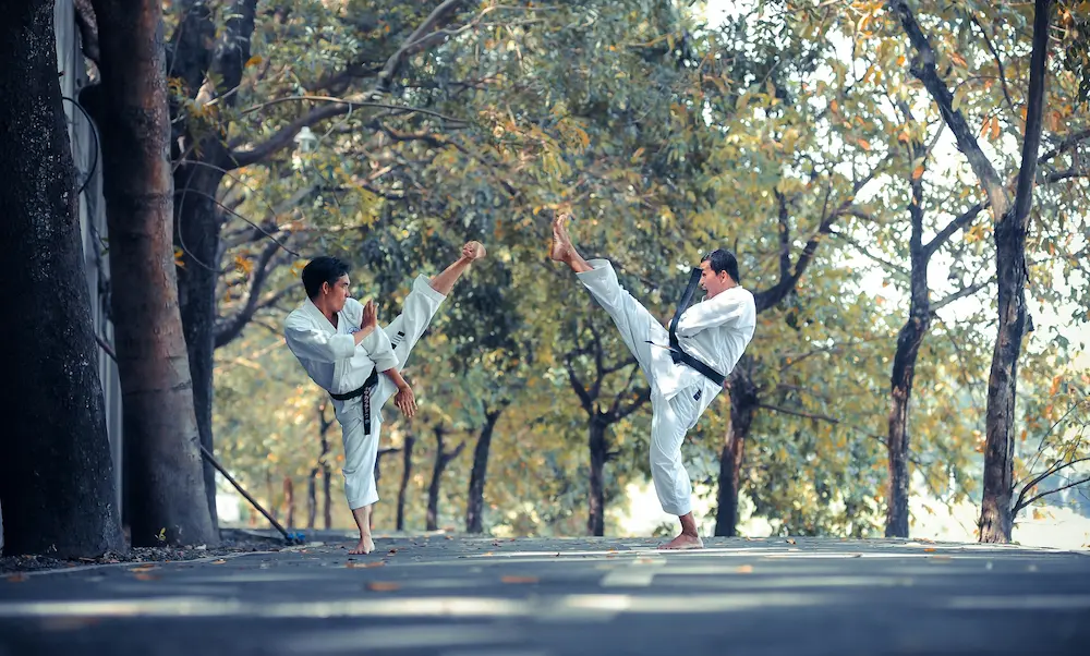 Traditional TaeKwonDo black belt practitioners training outdoors in the Jidokwon tradition