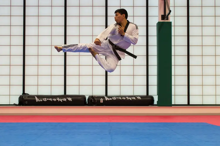 TaeKwonDo kick demonstrating striking power and distance management for self defense
