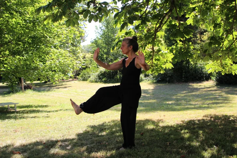 Woman practicing yang style tai chi balance pose outdoors in natural setting