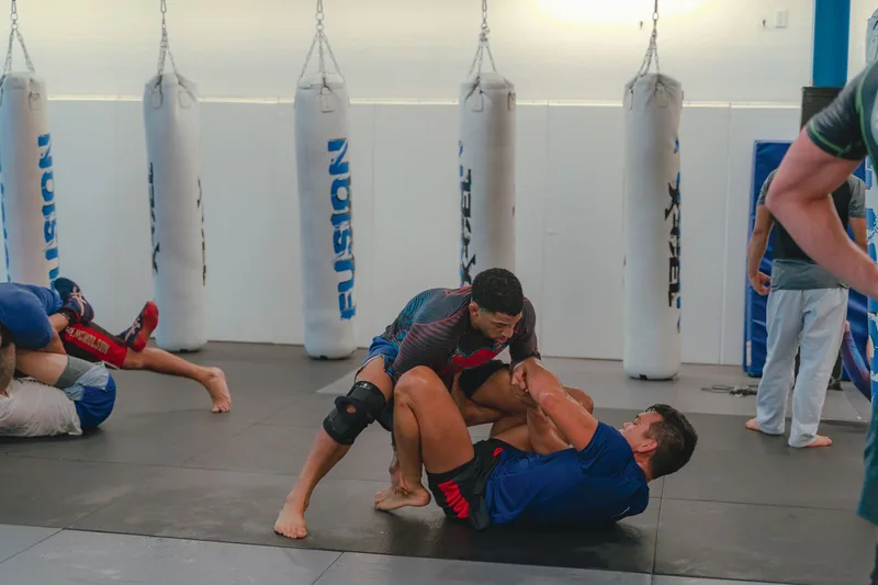 Mixed martial arts students drilling grappling techniques on the mat