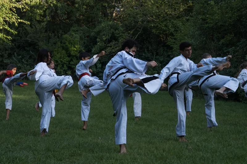 Martial arts class drilling kicks — the technique that defined TaeKwonDo history