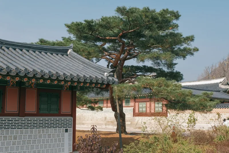 Traditional Korean palace architecture — the cultural heritage behind the history of TaeKwonDo