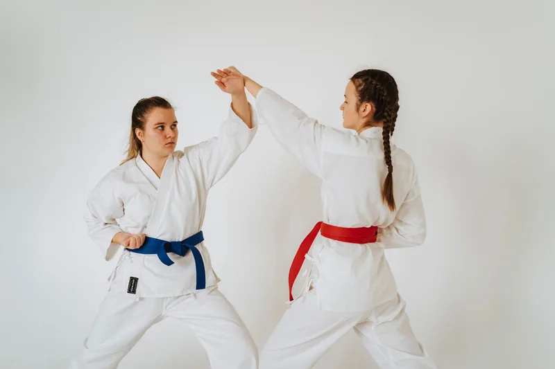 Martial arts students drilling partner techniques during black belt TaeKwonDo training